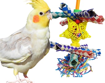 Shredder Bird Toy Frizzle Frazzle Forager Bird Toy for medium sized birds. Great for foraging