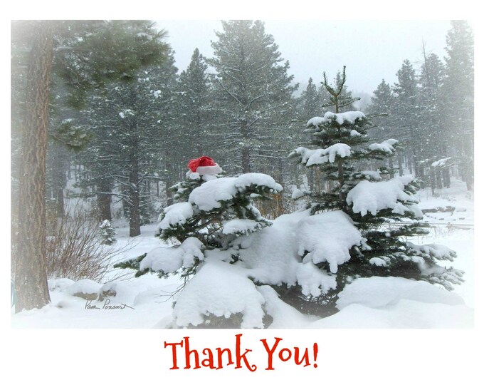 HOLIDAY THANK YOU Card featuring an Elusive Santa in a Snowstorm with Coordinating Envelope