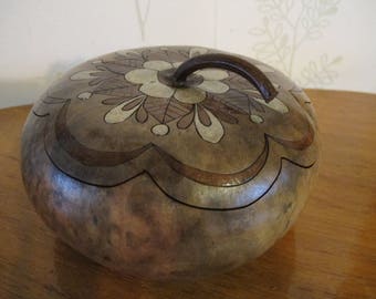 box squash gourd type flat Corsica 20 original