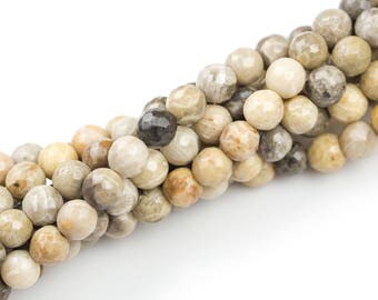 NATURAL fossil coral, High Quality in Faceted round, 4mm, 6mm, 8mm, 10mm, 12mm, 14mm- Full 15.5 Inch Strand