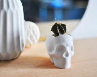 Skull Planter / 3D Printed / Pot / Modern Planter / Best Gift / Modern Decoration / Succulent / Air Plant / Halloween / Desk Tidy