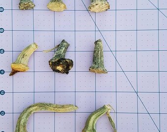 Lot De 40 Tiges De Courges Séchées Fines - 3 à 5 Pouces - Pour Créations Manuelles, Déco - Neuf