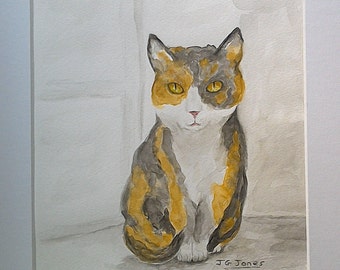 Tortoiseshell Cat