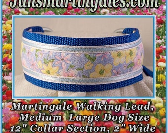Jansmartingales, Dog Collar Leash Combination Walking Lead, Medium Large, Small Greyhound, Large Whippet, wblu051