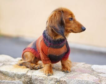 doxie clothes