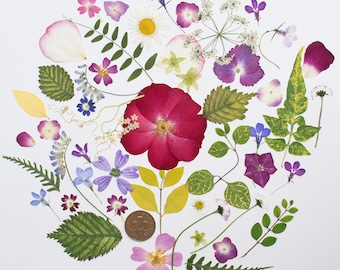 Mixed Real Pressed Flowers Rose Petals Dried leaves flowers Craft Supplies Card Embellishments Scrapbooking supplies Organic Natural