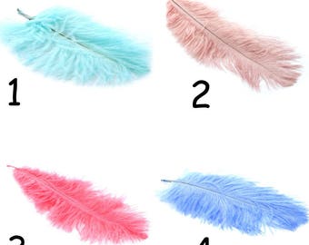 Set of 5 or 10 Feather genuine ostrich 15-20cm turquoise, blue, light pink or fuchsia