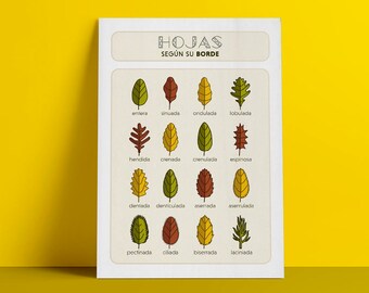 Poster leaves according to its edge