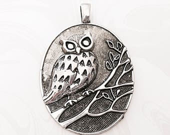 Owl Pendant, Large Owl Pendant, Animal, Silver Owl, Oval Pendant, 66mm x 47mm,