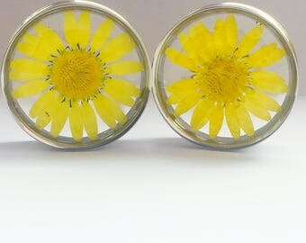 32MM YELLOW DAISY PLUGS!