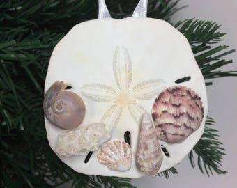Real Sand Dollar and Seashell Shell Christmas Ornament #1001