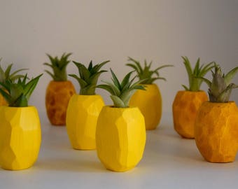 Little Pineapple Air Plant Holder with Magnet