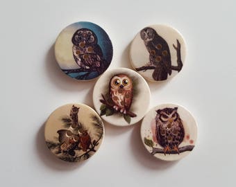 Set of 5 owls and OWL wooden buttons