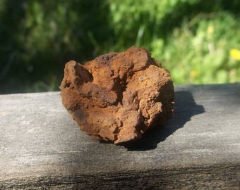Pieces dam kofta PCRATH - Fossil main image 0