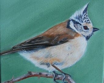 mésange huppée, oiseaux, peinture à l'huile, art, art animalier