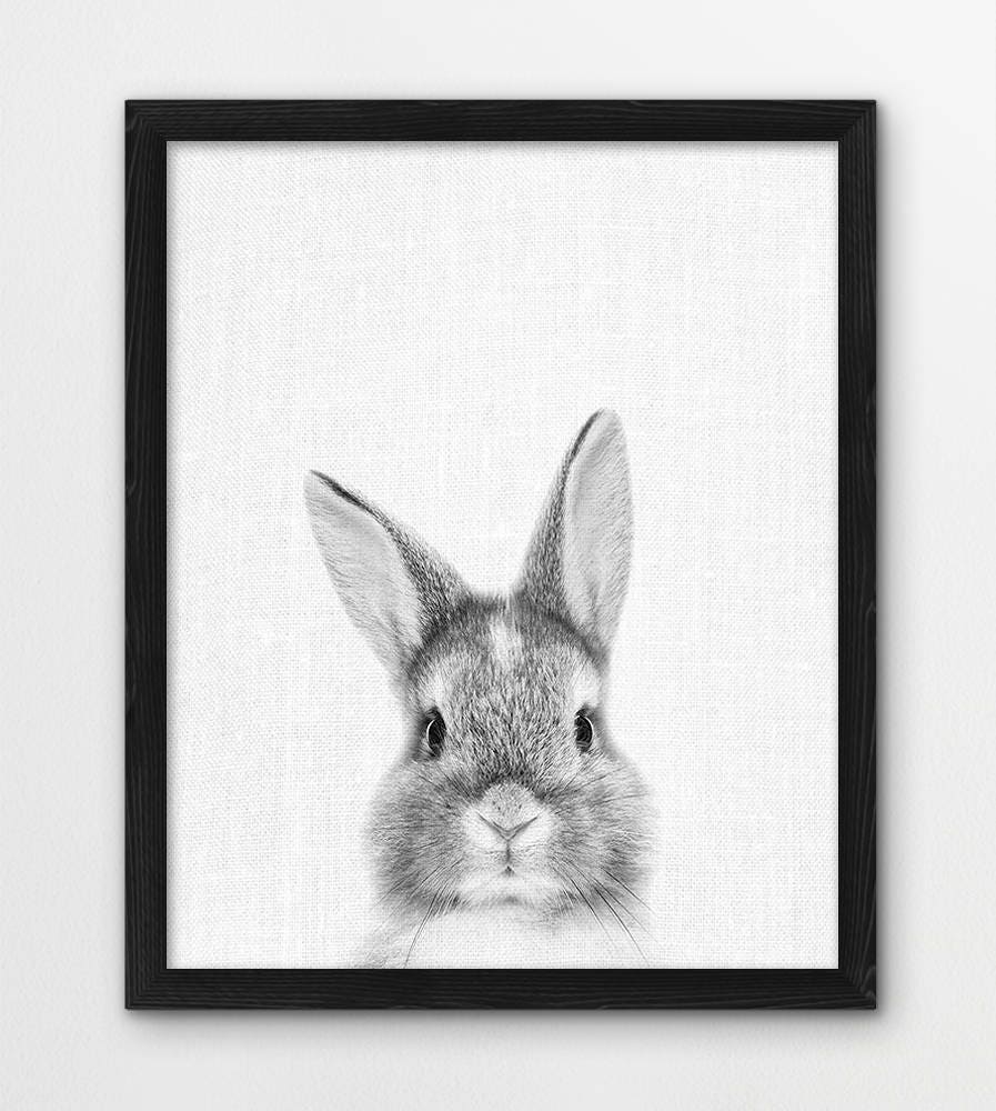 Rabbit Print Bunny Print Woodlands Animals Photo Nursery