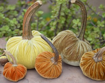 Golden Harvest Silk Velvet Pumpkins and Acorns with Real Stems