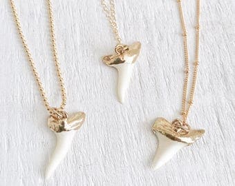 Gold dipped Shark Tooth Necklace