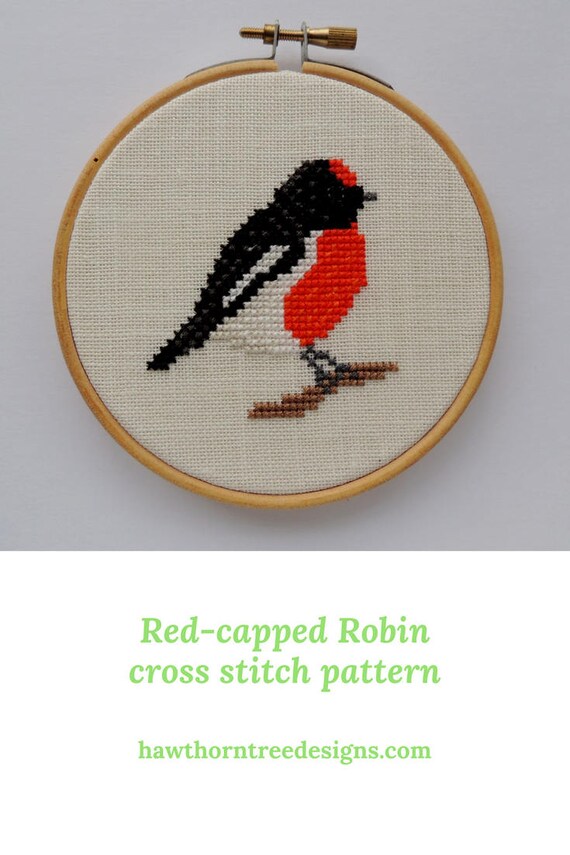 Cross stitch bird. RedCapped Robin cross stitch bird pattern. Small