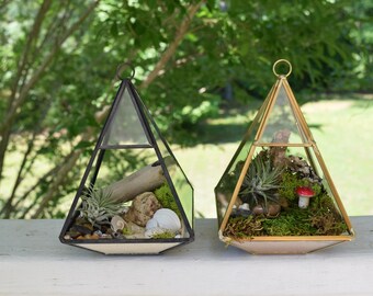Air Plant Terrarium | Tillandsia | Geometric Terrarium | Glass Terrarium | Air Plant Gift | Airplant | Air Plant Holder | Plant Terrarium
