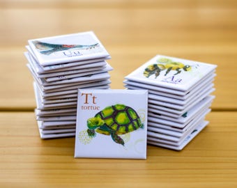 Tortue Aimants frigo Cathy Faucher illustration 2x2 pouces Aimants rigides Illustré au Québec Imprimé au Canada