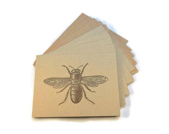 Blank Note Cards, Bee, Blank Notes, Stationery Set, Nature Theme Note Cards, Insect Cards, Quirky Note Cards, Rustic Note Cards, Notecards