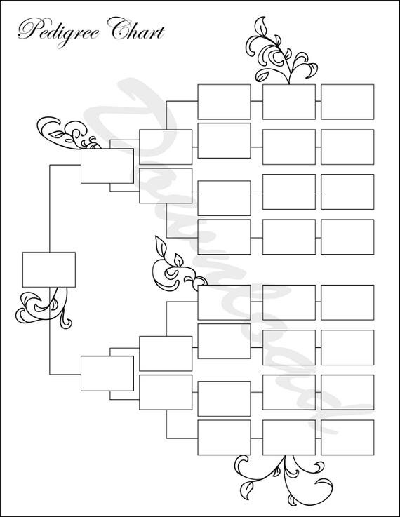 Pedigree Chart