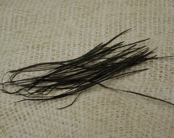 100 about 9cm natural Peacock feather plumes
