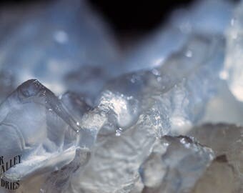 Water Kefir Grains - Hydrated OR Dried - Tibicos - Tepache - Ginger Bees - Make Your Own Delicious Probiotic Drinks or Sodas