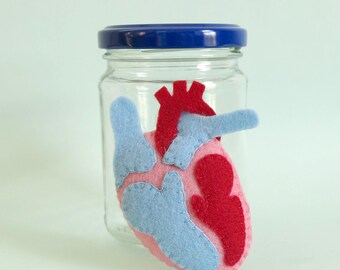 Heart Specimen Jar Anatomical Specimen Anatomy Medical Decor