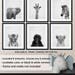 Safari baby animal prints for nursery Black and white safari
