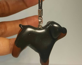 Standing Rottweiler