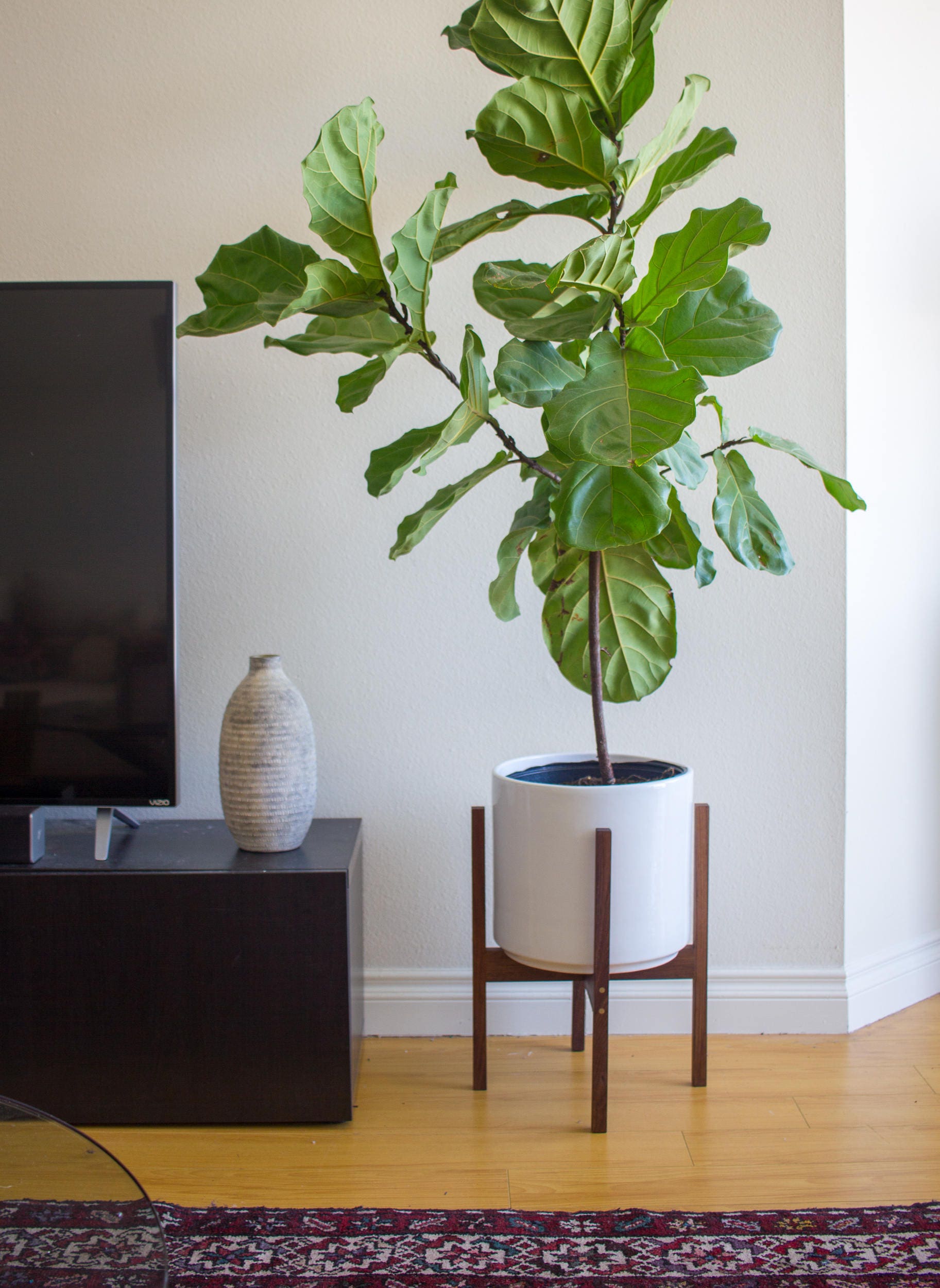 New Mid Century Modern Planters for Large Space