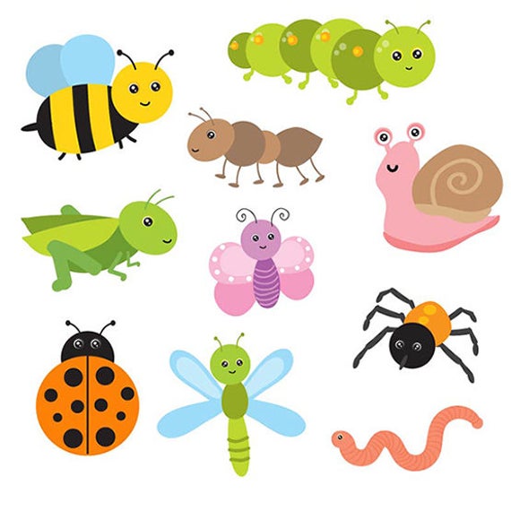 Cute bugs vector Digital Clipart Instant Download EPS