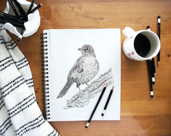 Bird pencil drawing | Etsy