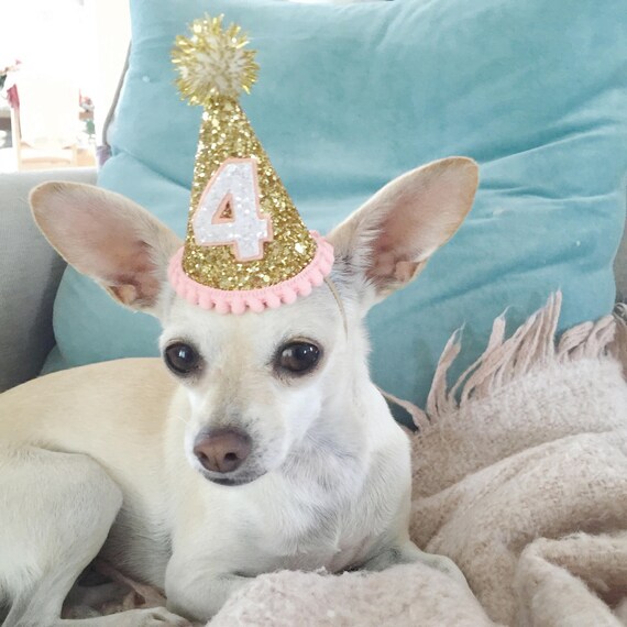 Dog Birthday Hat || Dog Party Hat || Dog Birthday Party Outfit || Animal Birthday Hat || Pet Birthday Hat || Dog Clothes