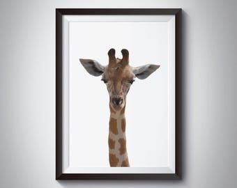 Giraffe poster | Etsy