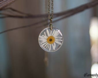 Chamomile flower resin pressed Flower necklace Resin pendant Flower jewelry Botanical necklace Terrarium necklace resin jewelry