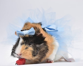 Guinea Pig / Rabbit / Bunny / Pet outfit / Costume for Small Animals