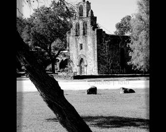 Mission Espada 2 8x10 Print