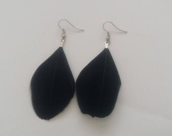 Earrings fancy feather choice