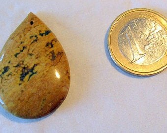 Orbicular ocean - ref42035 - pierced - 35x25x4mm Jasper