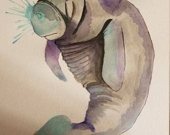 Manatee watercolor | Etsy