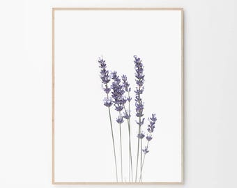 Lavender wall art | Etsy