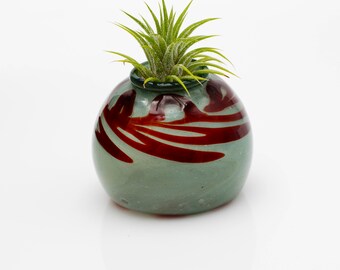 Handmade Glass Air Plant Terrarium