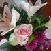 Cathy Bevan