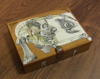 Anatomical Oddity Art Vintage Card/Trinket Box - Medical Curio