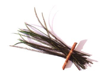 30 strands of feathers of Peacock green electric/anthracite 12/15 cm