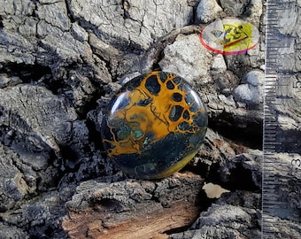 CS0223 - Pietersite Cabochon