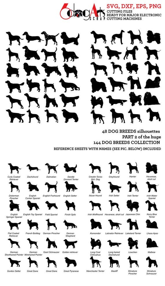 Download Dog Breed Silhouettes Vector Digital Cut Files Svg Dfx Eps Png